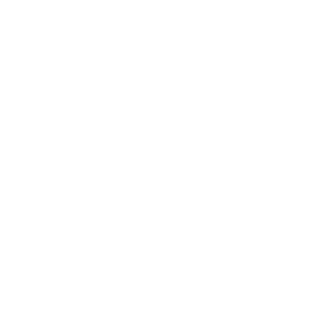 compliance icon 300x300 1