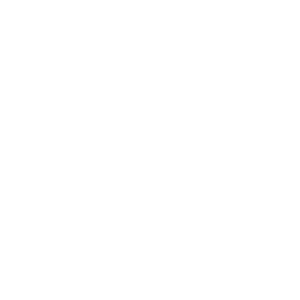 crm 300x300 1