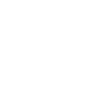 data icon 300x300 1 1