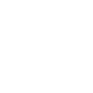 enterprise systems 300x300 1