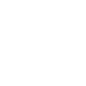 finanice icon 300x300 1