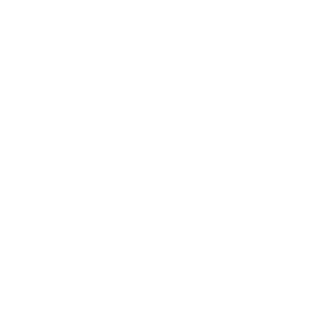 org design icon 300x300 1 1