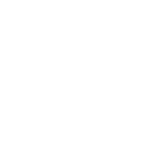 payroll info sec icon 300x300 1