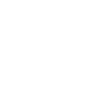 project delivery icon 300x300 1