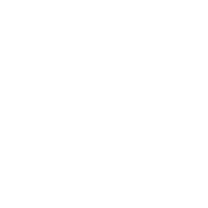 project management 300x300 1