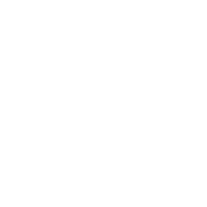 strategy 300x300 1